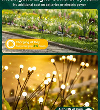 Solar Powered Garden Lights