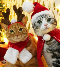 Pet Christmas Clothes