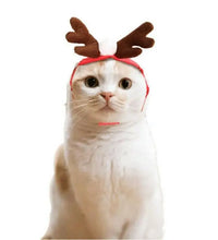 Pet Christmas Clothes