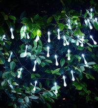 Garden Solar Lights